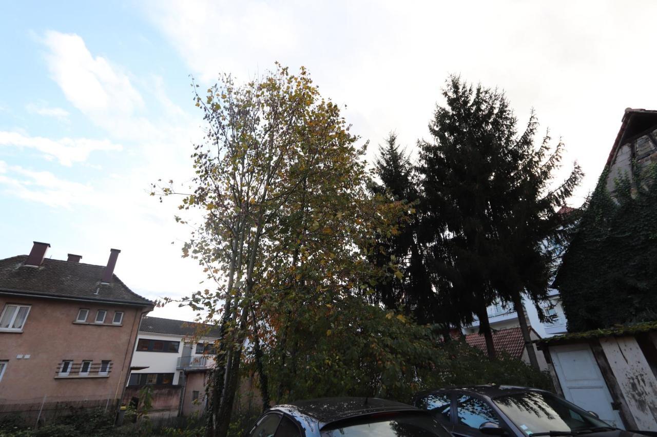 Homeday Cultivateur N°2 Appartement Type F3 Haguenau Eksteriør bilde