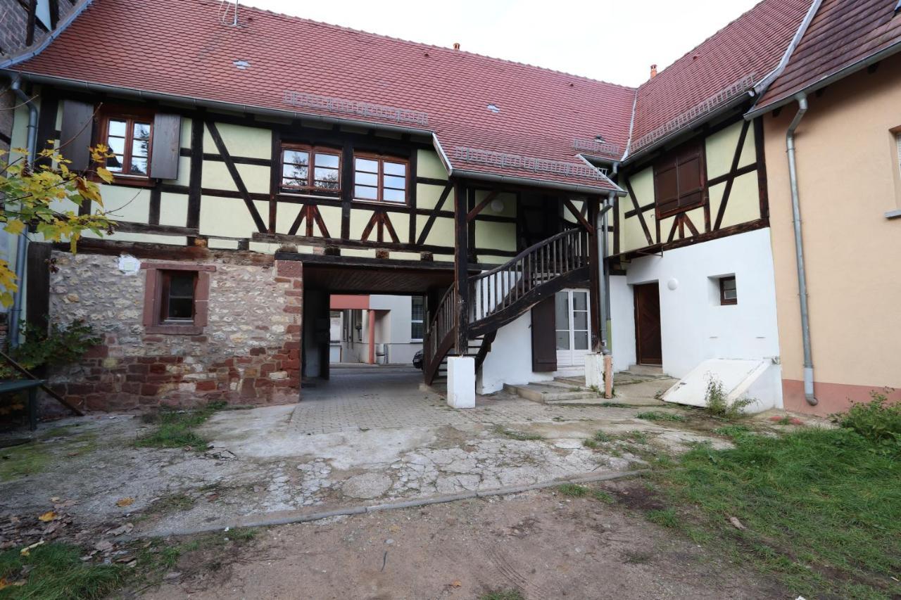 Homeday Cultivateur N°2 Appartement Type F3 Haguenau Eksteriør bilde